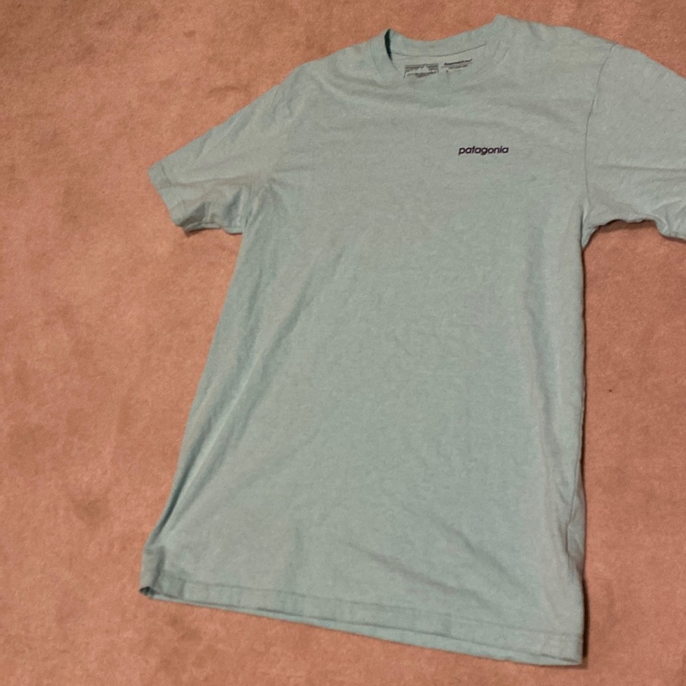 Patagonia Tshirt